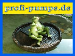 Teichpumpen-Set Solar Frosch-Freunde