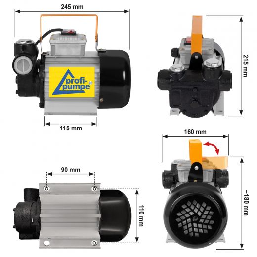 Diesel STANDARD-4.2 Selbstansaugende Pumpe mit Tüllen und Vorfilter