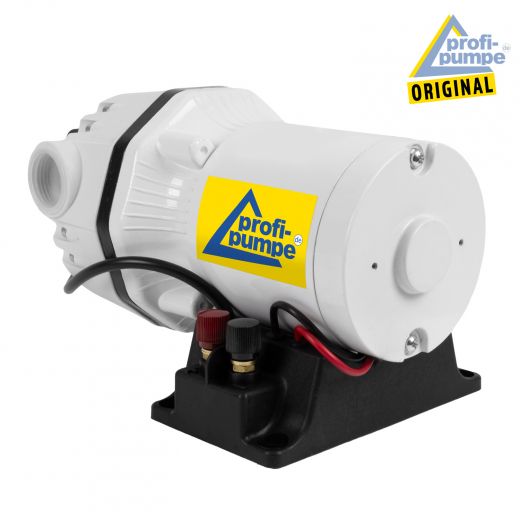 AdBlue® 24V-Pumpen-Set, selbstansaugend, DIESEL PUMPE HEIZÖL FASSPUMPE ÖLPUMPE KRAFTSTOFFPUMPE TANKSTELLE, AdBlue Pumpe