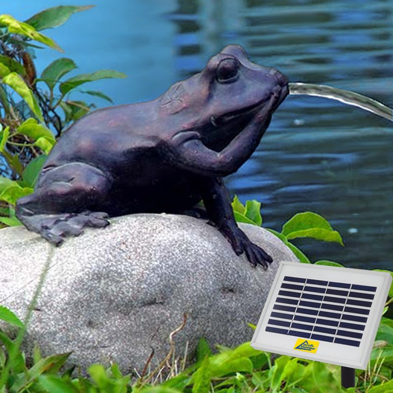 Set Frosch Wasserspeier Teichfigur Figur mit Solar Pumpe für Teich Gartenteich 