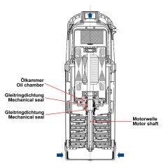 Tauchpumpe REGEN-STAR SUPER 800-3 Saugschlitzen, mit Schwimmerschalter, 10m Kabel mit BRIO®