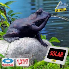 B-Ware TEICHPUMPE SOLAR SET MÄRCHEN-FROSCH für GARTEN, TEICH, TERRASSE