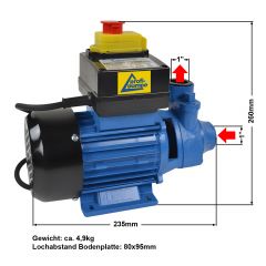 B-Ware Diesel Profi 600-2 Pumpe ohne Zubehör, mit 2Stck Tüllen