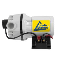 Set AdBlue® 24V-Pumpen-Set, selbstansaugend, mit Saug- und Druckschlauch, Adblue-Zapf-Pistole und Zubehör