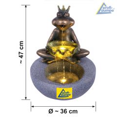 230V - Gartenbrunnen FROSCH-PRINZ mit LED-Licht 